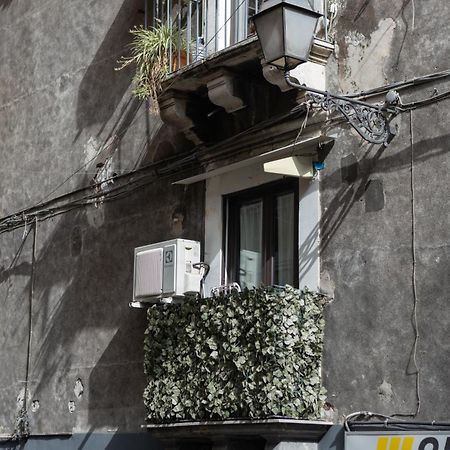 Apartmán Terra Dell'Etna CTA Exteriér fotografie